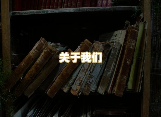 关于我们